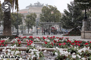 Neve a Palermo? Se vabbé!